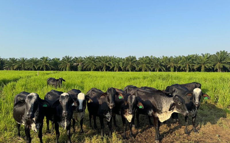 nosotros-agropecuaria-la-loma